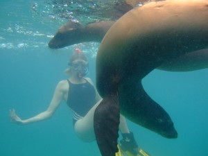 duiken-galapagos