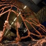 klimnet2