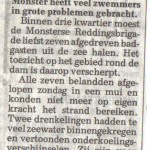 zeven-zwemmers-in-de-problemen